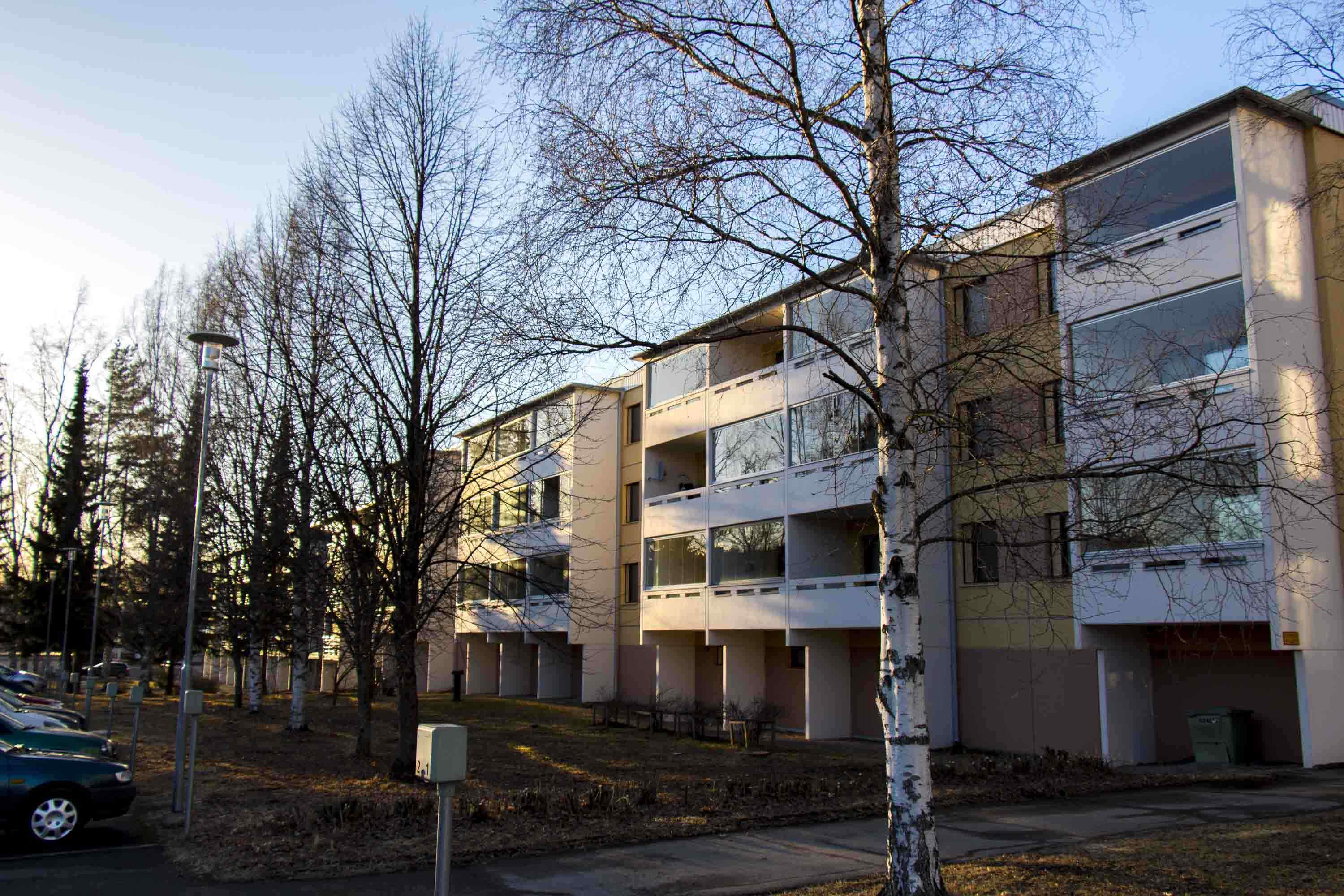 Vaaleasävyinen kaunis yksiö Annalassa